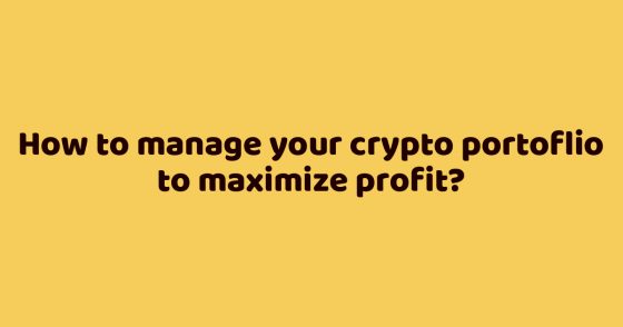 How to manage your crypto portoflio to maximize profit?