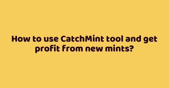 How to use CatchMint tool and get profit from new mints?