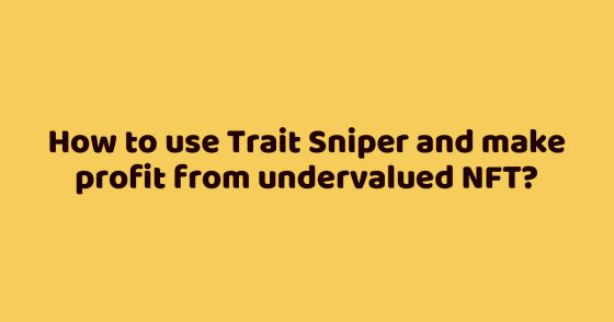 How to use Trait Sniper and make profit from undervalued NFT?