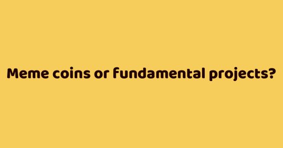 Meme coins or fundamental projects?