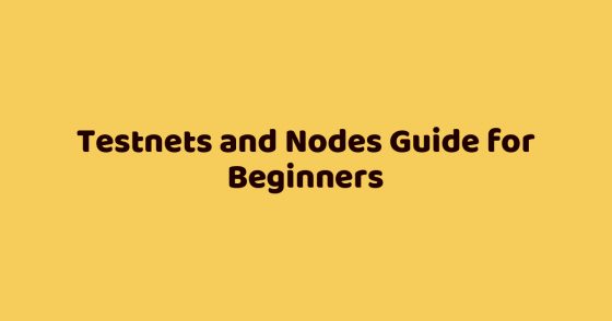 Testnets and Nodes Guide for Beginners