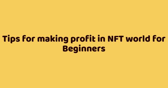 Tips for making profit in NFT world for Beginners