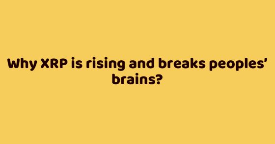 Why XRP is rising and breaks peoples’ brains?